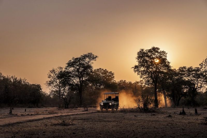 A game drive vehicle drives along a track on a Zambia safari