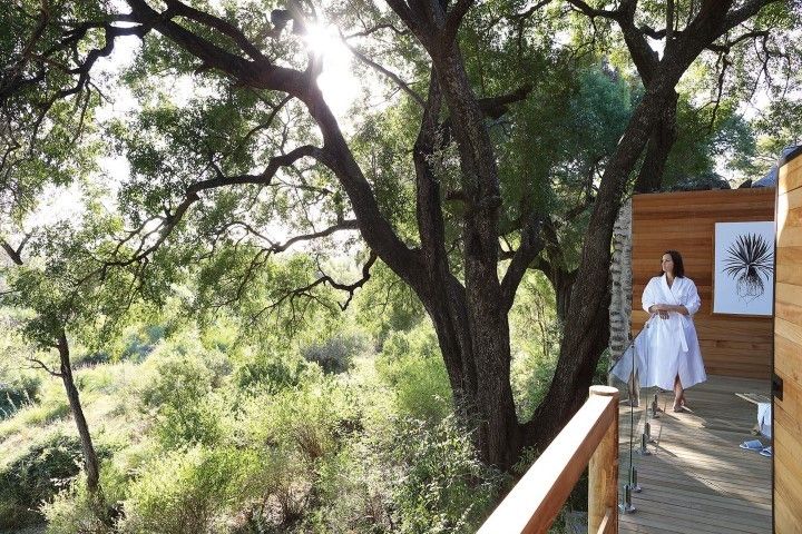 In Harmonie mit der Natur und sich selbst: Londolozis Healing House