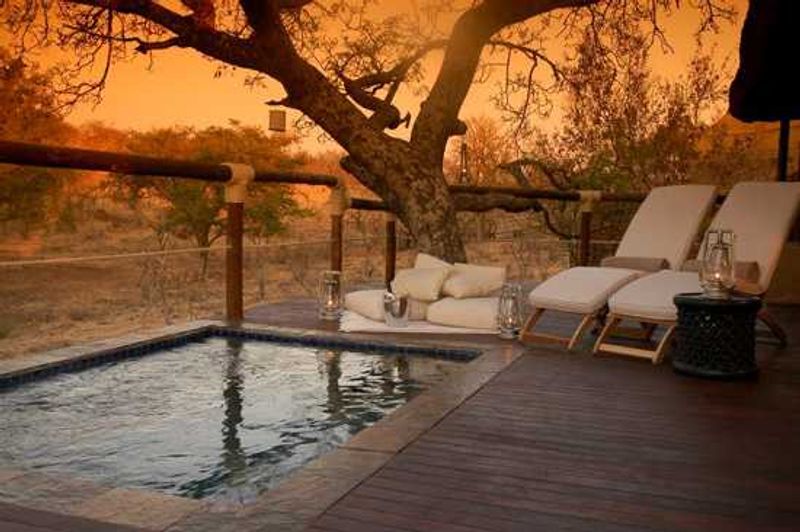 Royal Madikwe Luxury Safari Lodge