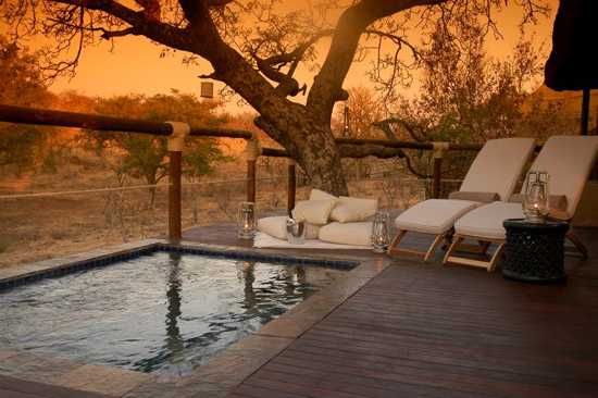 Royal Madikwe Luxury Safari Lodge