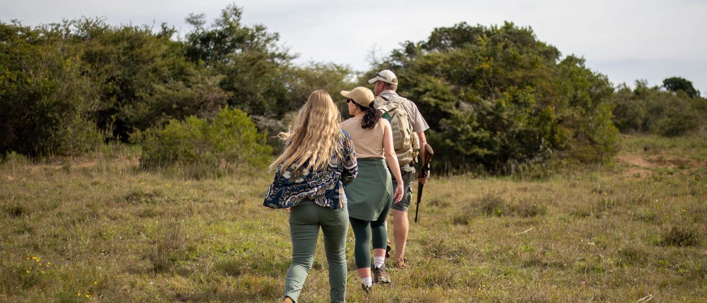 Malariafreie Safari im Amakhala Game Reserve | Review