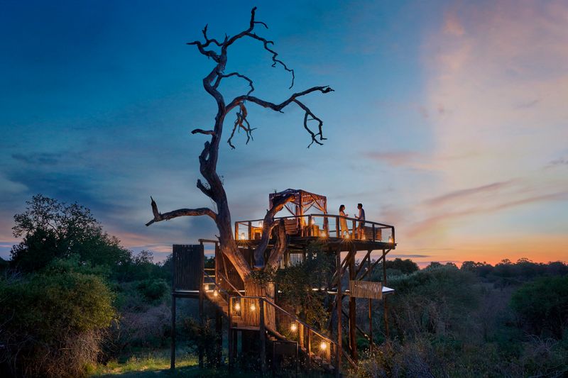 Sleep out in a tree house at Lion Sands