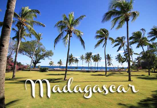 'Lemurs in the Mist' - We Head To Madagascar
