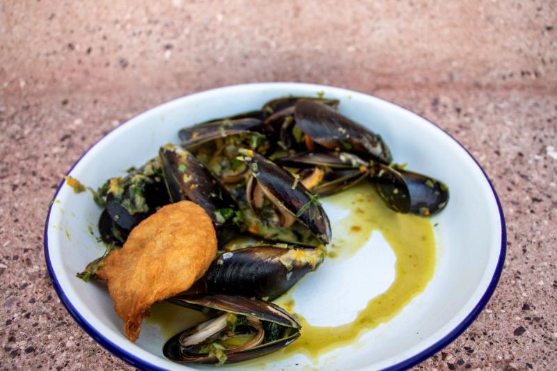 Mussels in Saldanha Bay