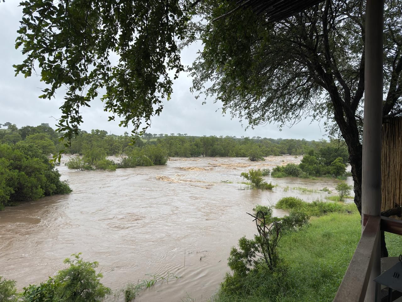 Navigating the Greater Kruger Floods: What You Need to Know