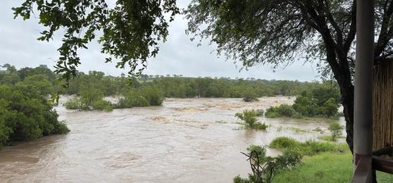 Navigating the Greater Kruger Floods: What You Need to Know
