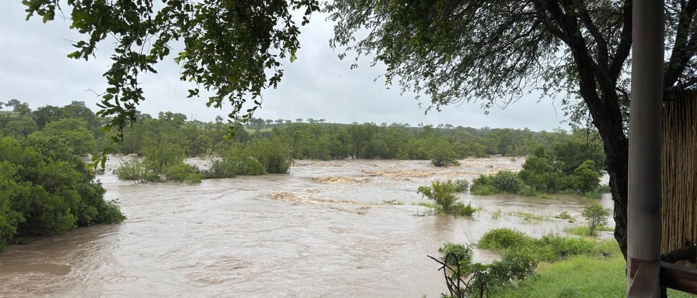 Navigating the Greater Kruger Floods: What You Need to Know