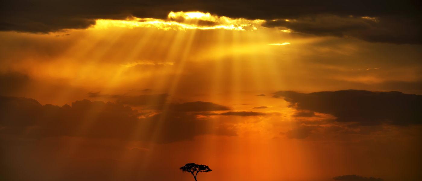 Top Wildlife Photography Tips From Clement Kiragu