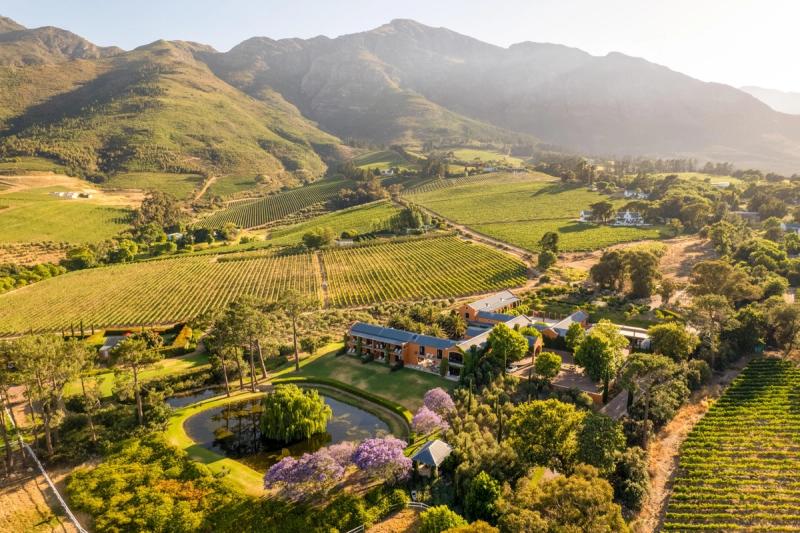 A picturesque landscape of the Cape Winelands, with rolling vineyards, elegant farmhouses, vibrant greenery, and towering mountains basking in golden sunlight