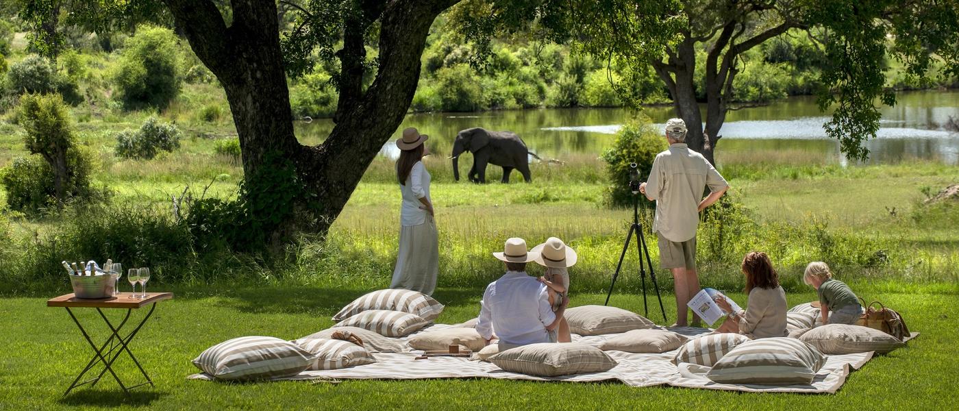 A Recipe to Your Ultimate Summer Safari