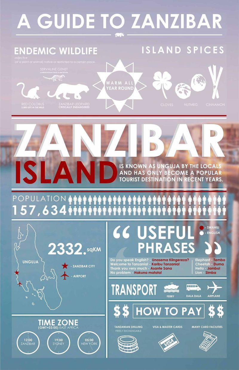 Zanzibar-Infographic