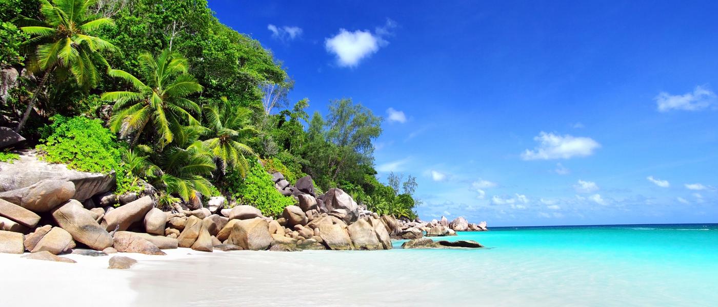 Seychelles on the Sea Shore