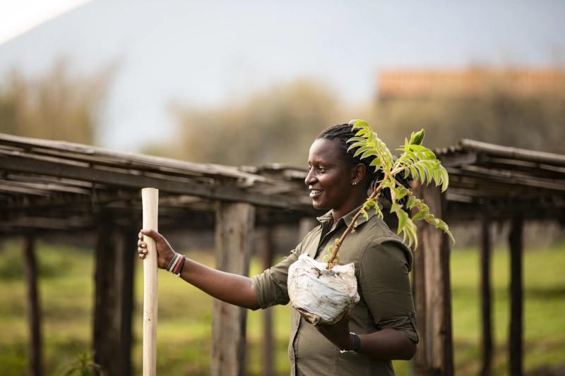 A woman holds a plant in an agriculutral field in Rwanda