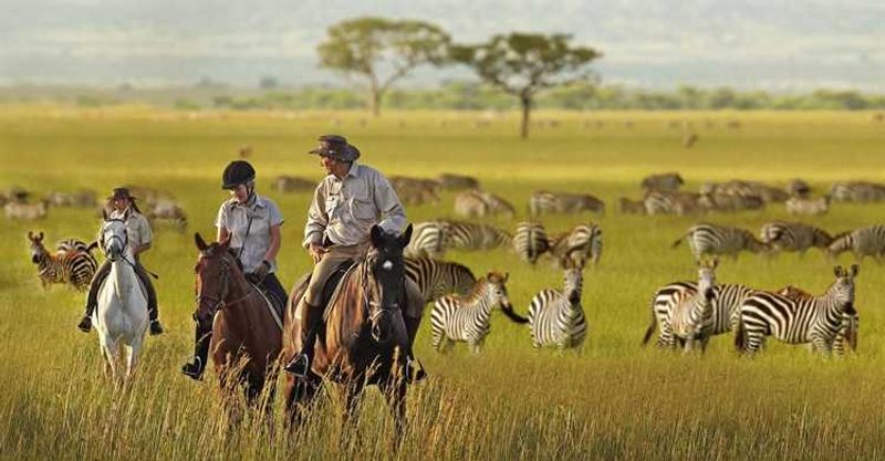 Außergewöhnliche Safaris in Afrika: Auf dem Pferderücken an Zebras im Grasland vorbeireiten