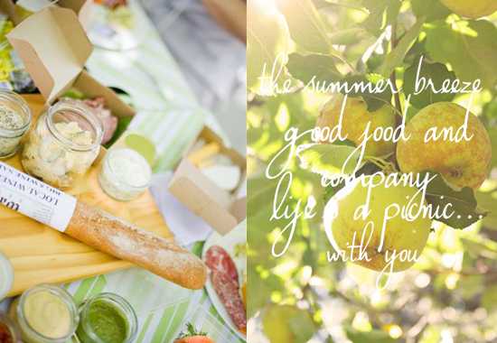 Where Rhinos Picnic: Cape Town & the Winelands