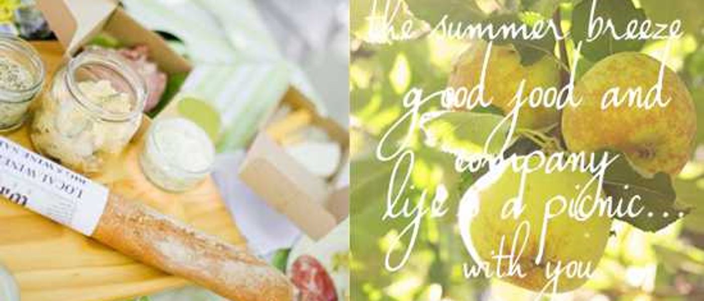Where Rhinos Picnic: Cape Town & the Winelands
