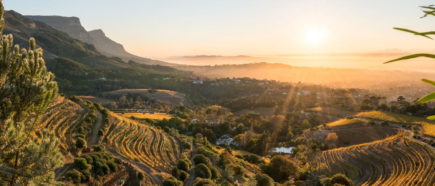 Constantia, l’un des secrets les mieux gardés du Cap