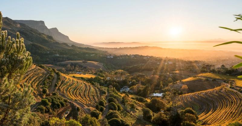 Beautiful views of the Constantia Wine Valley outside of Cape Town