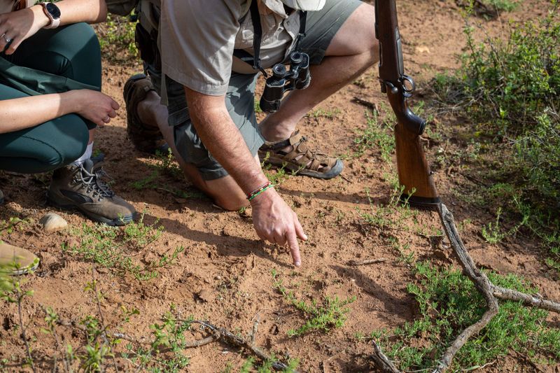 Bush walk at Hlosi Amakhala Lodge