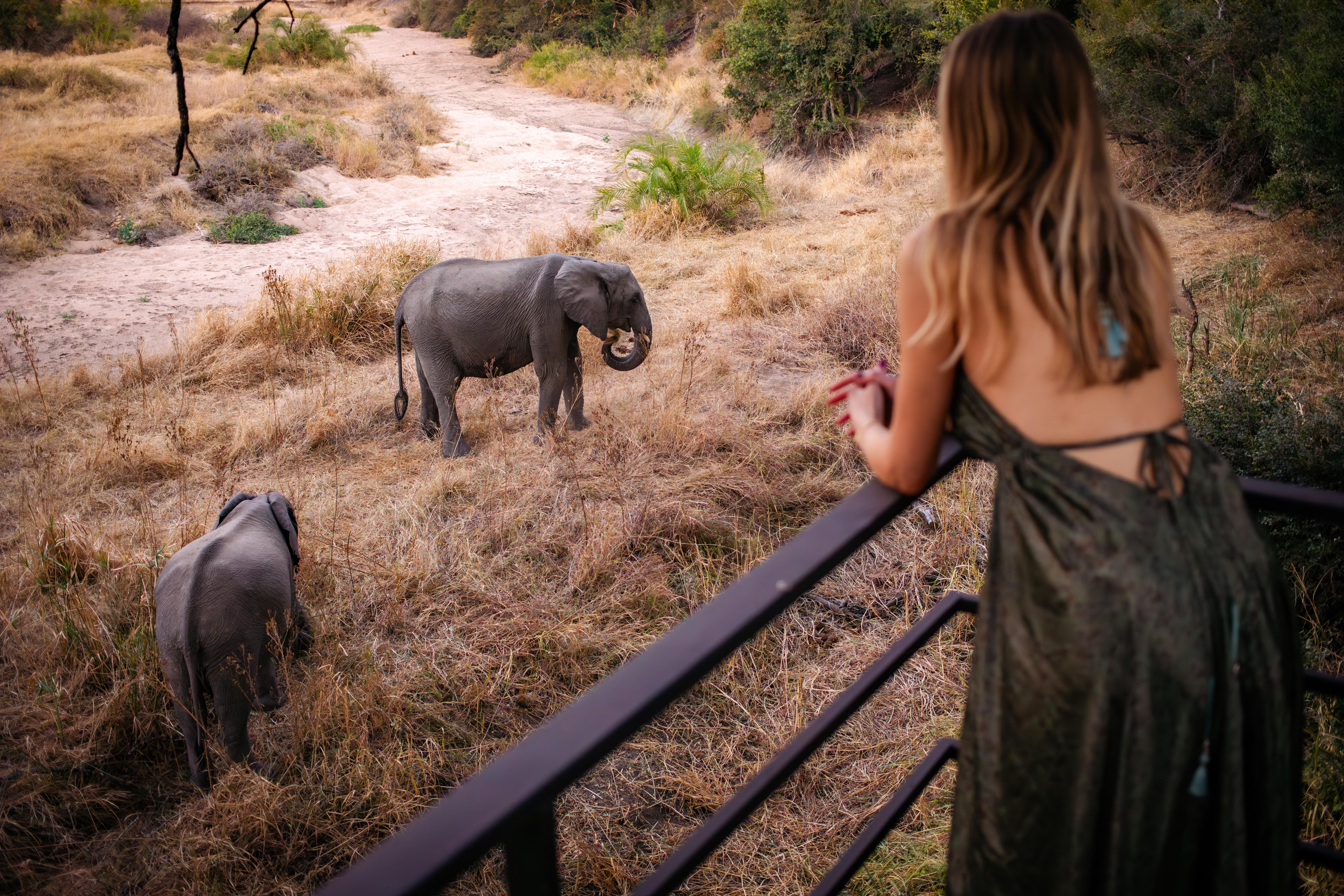21 Years of Crafting Luxury African Safaris