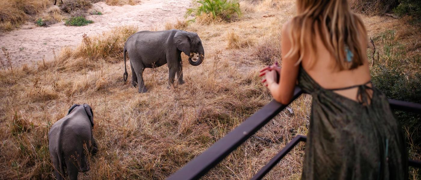 21 Years of Crafting Luxury African Safaris