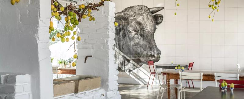 Babel at Babylonstoren inside