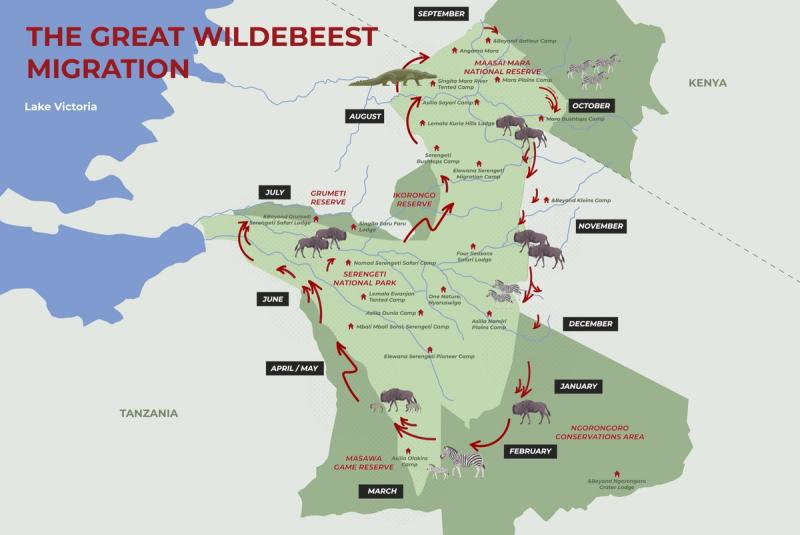 A map showing an overview of the months and locations of the Great Wildebeest Migration over the course of a year