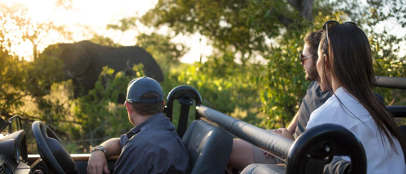 Silvan Safari Blog - What Makes Silvan So Special?