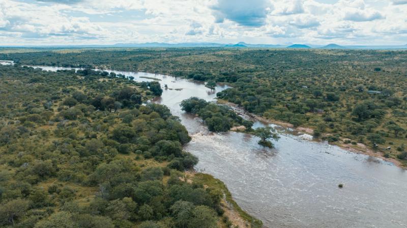 Rufiji River im Nyerere Nationalpark - ein Tipp für Ihre Tansania-Safari