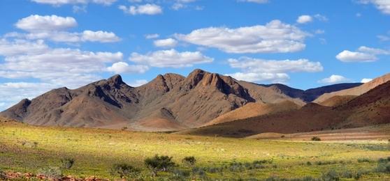 Überraschend grün: Namibia in der Regenzeit