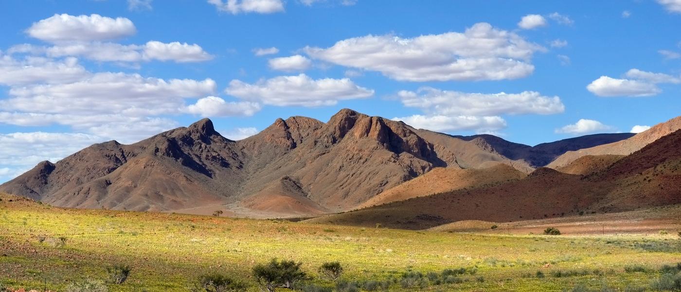 Überraschend grün: Namibia in der Regenzeit