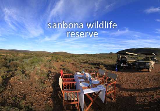 A Sanbona Family Safari - A Guest Review
