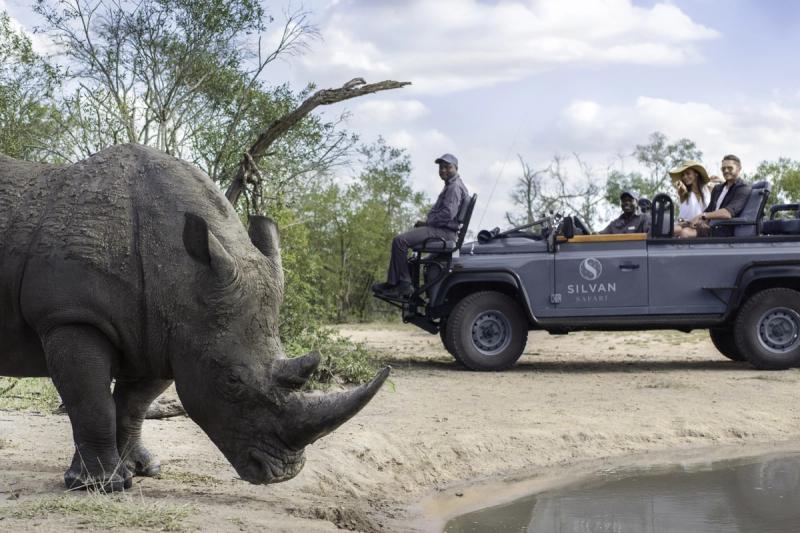A rhino pauses near a game vehicle, an unexpected moment that reveals how to stay present through silence, movement, and shared stillness