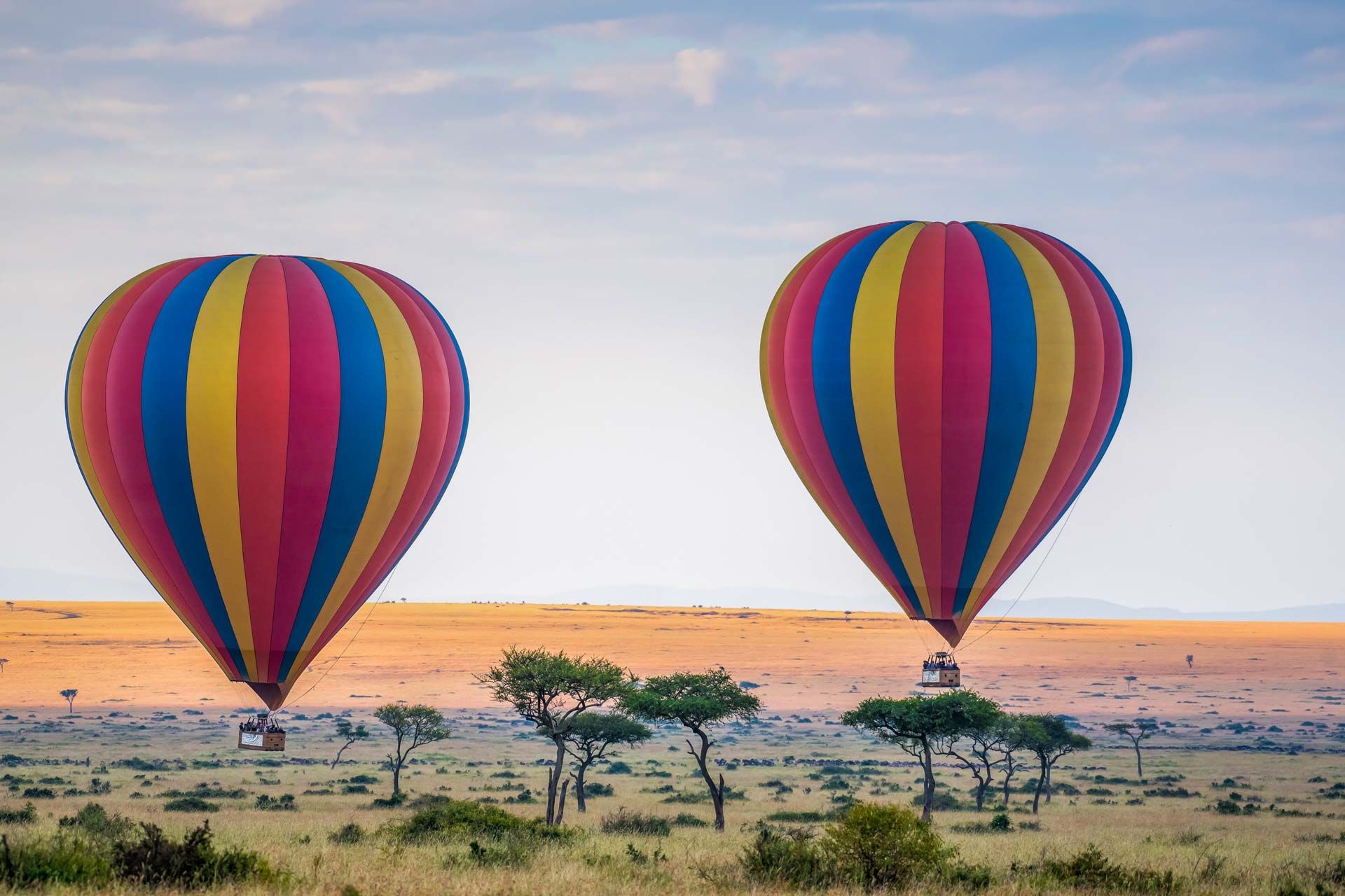 Sua lista de desejos da África para 2023