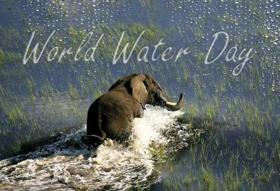Today is World Water Day!