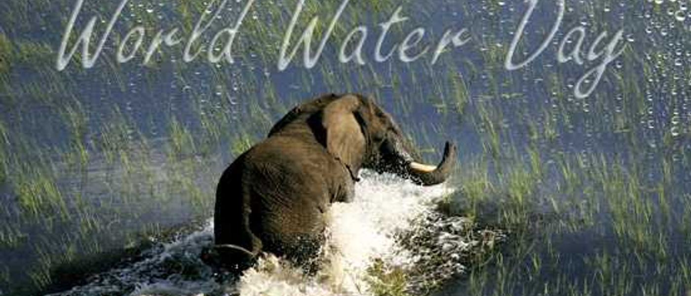 Today is World Water Day!
