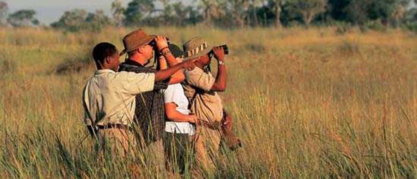 Meet The Big Five: Africa's Animals