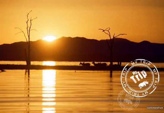 My Trip | Admiring Africa With New Eyes