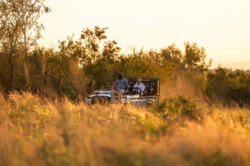 Auf Safari im Krüger Nationalpark: Erleben Sie unvergessliche Aktivitäten