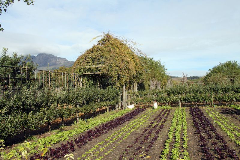 Mountain views and gardens at Bablyonstoren