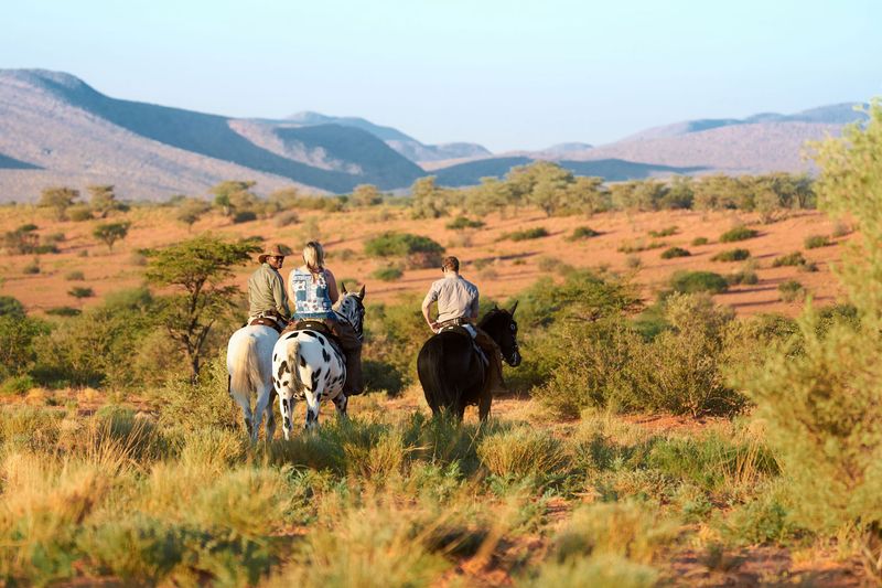 Horse riding in Tswalu