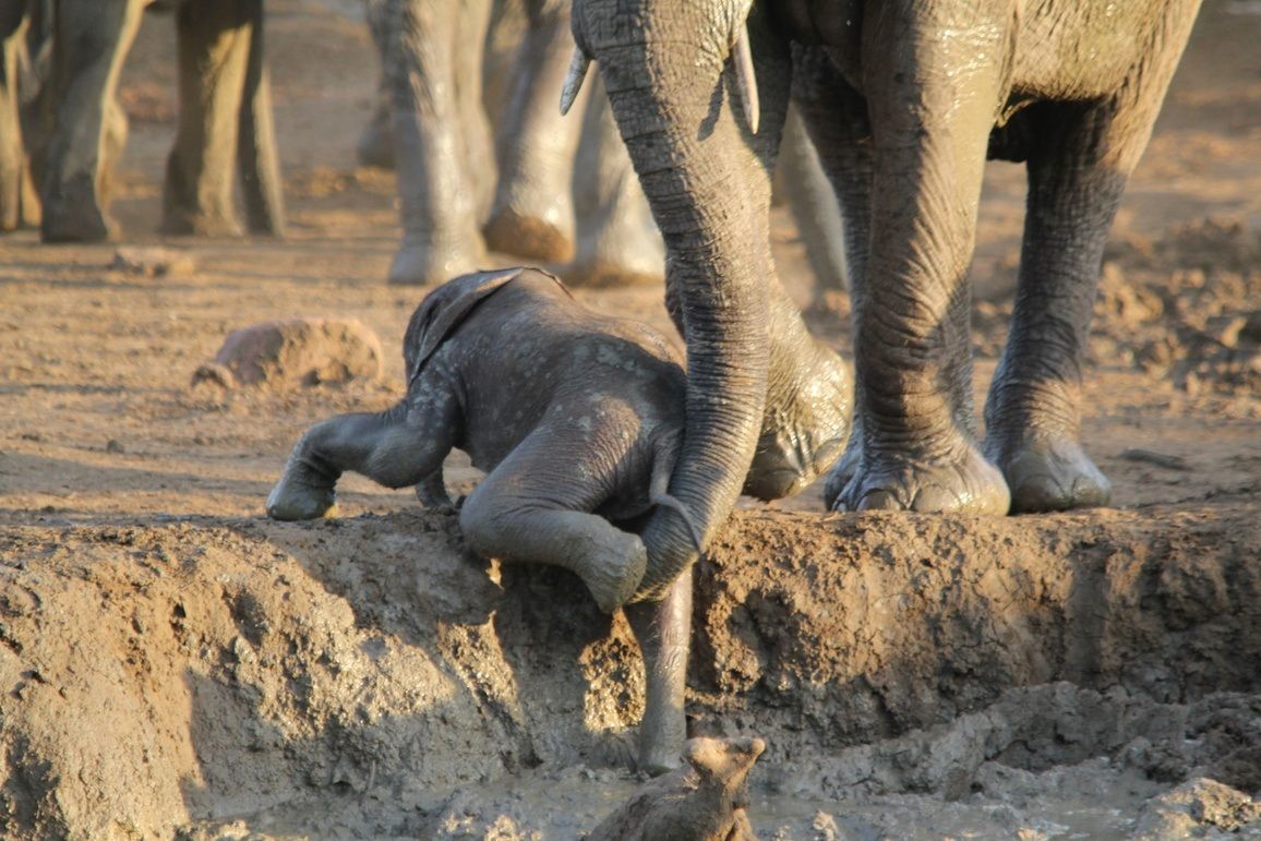 Mother's Day in Africa