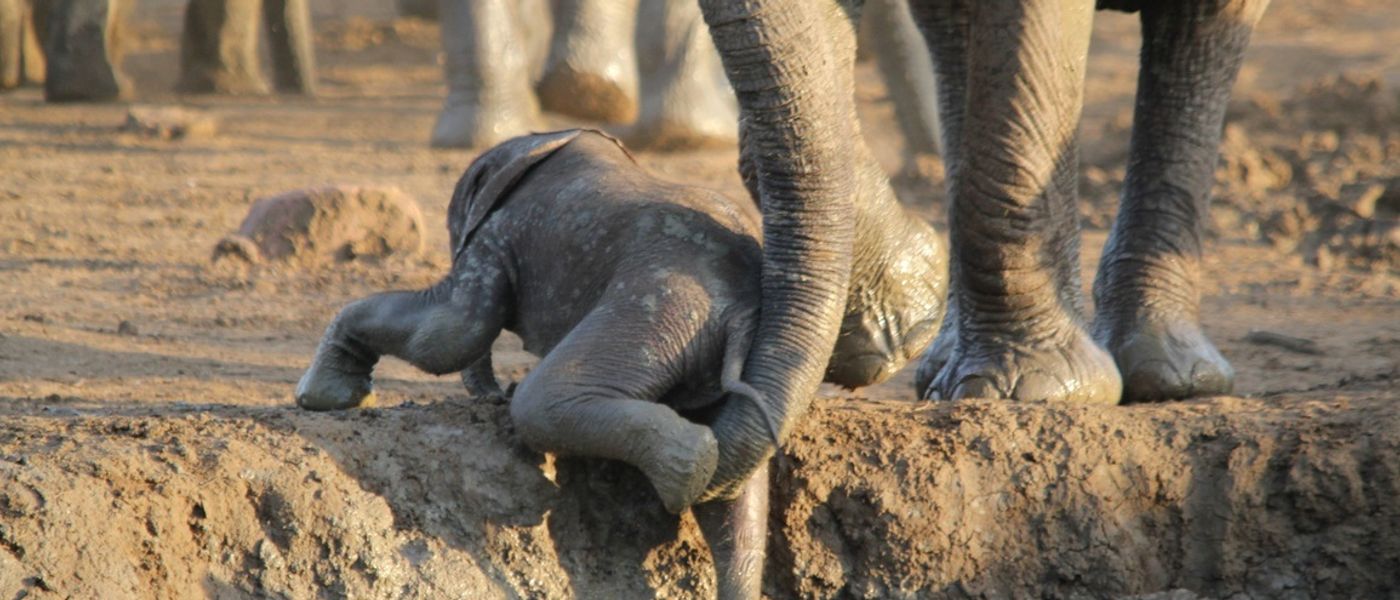 Mother's Day in Africa