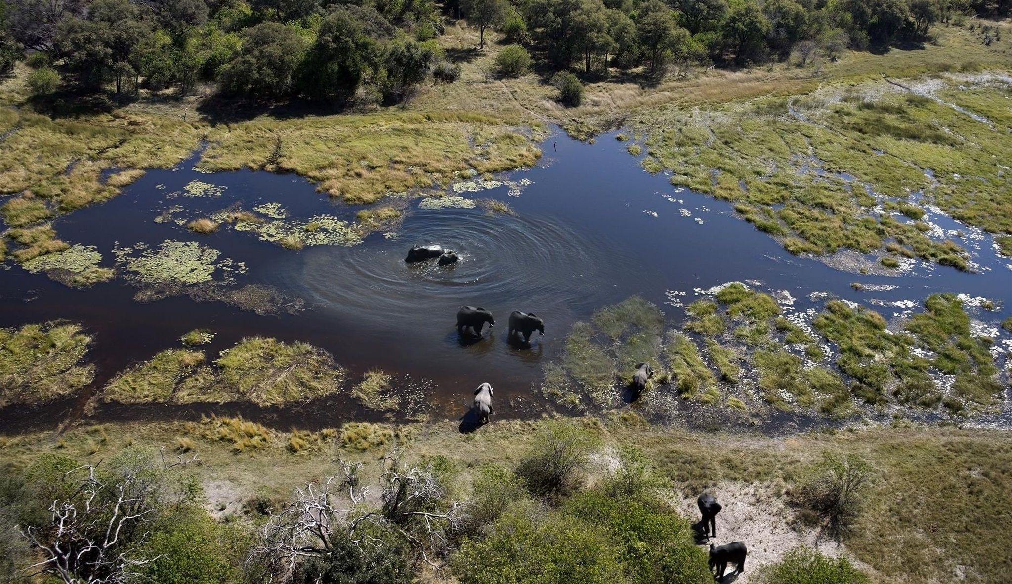 Beauté indomptée de l’Afrique au Botswana