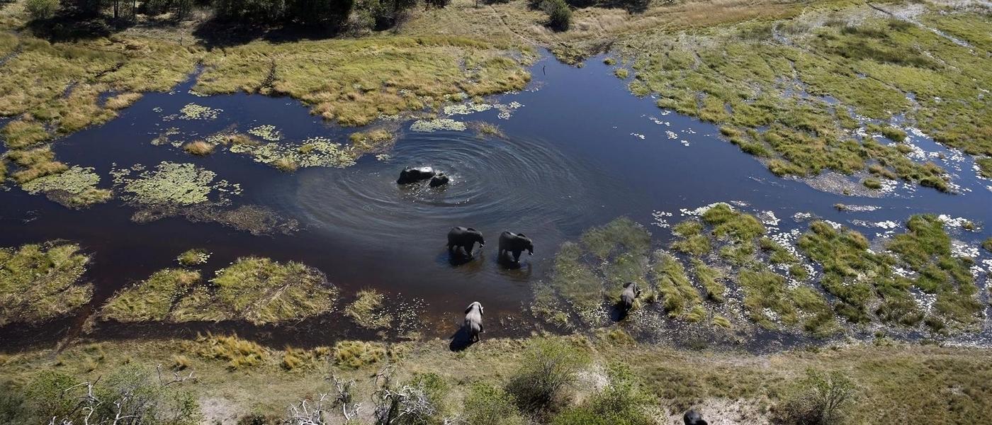 Beauté indomptée de l’Afrique au Botswana