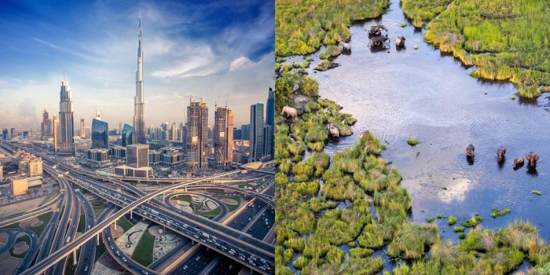 Dubai’s futuristic skyline and Africa’s tranquil wetlands brought closer by international flight routes to Africa.