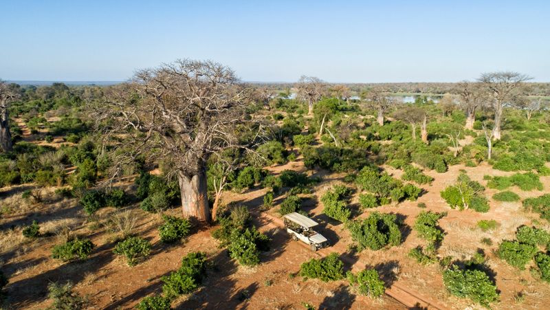 Big 5 game drives in Gonarezhou National Park