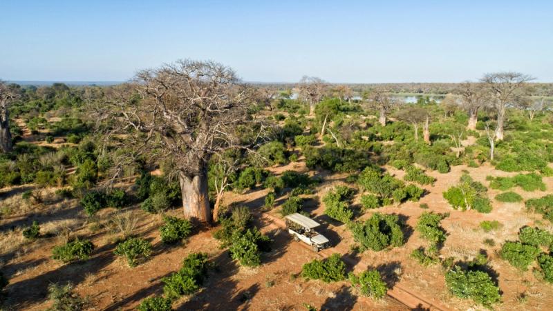 Big 5 game drives in Gonarezhou National Park