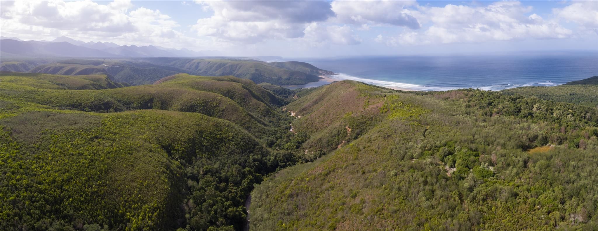 Your Guide to a Garden Route Road Trip Journey