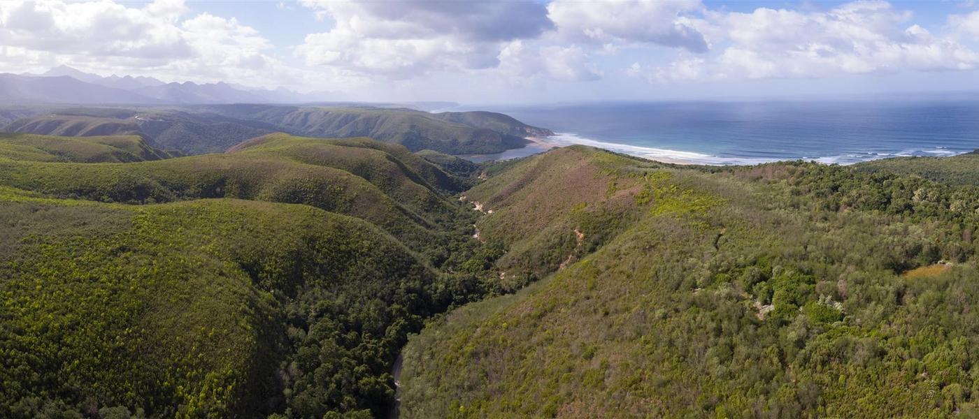 Your Guide to a Garden Route Road Trip Journey